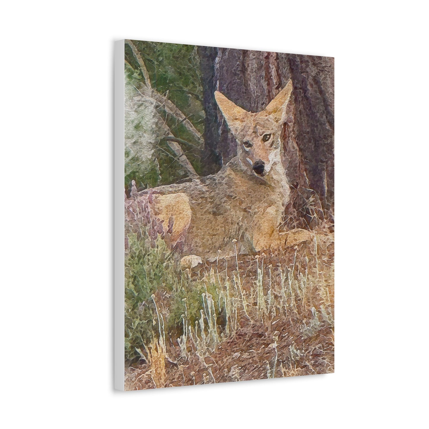 Nature-Inspired Stretched Canvas Art - Coyote Wildlife Decor, Animal Wall Art, Rustic Home Decor, Gift for Nature Lovers, Forest Vibes