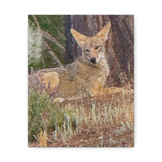 Nature-Inspired Stretched Canvas Art - Coyote Wildlife Decor, Animal Wall Art, Rustic Home Decor, Gift for Nature Lovers, Forest Vibes